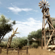 Illustration for article titled Far Cry 2 Brings GTA Sandbox to the Serengeti